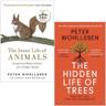 The Hidden Life of Trees