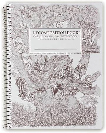 Decomposition Notebook Lined