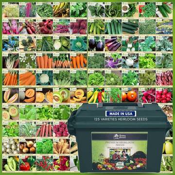 Garden Seeds Vegetable Variety Pack
