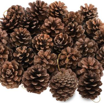 Handcrafted Eco-friendly Pinecone Christmas Ornaments Set