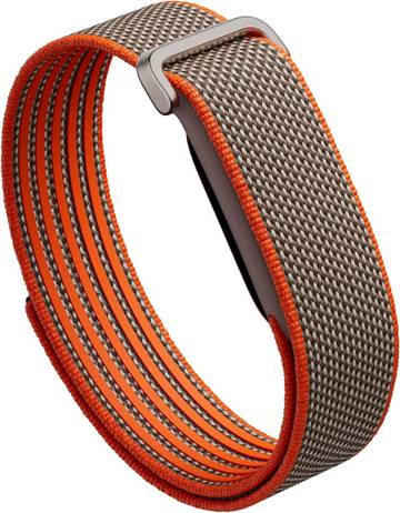 Fitbit Charge5