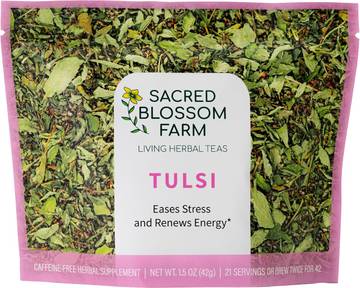 Organic India Tulsi Holy Basil Tea