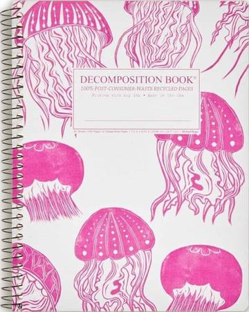 Decomposition Book Ruled Notebook
