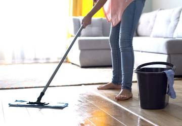 Earth's Best Ceramic Tile Cleaner