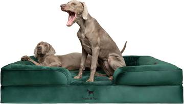 West Paw Big Sky Large Dog Bed