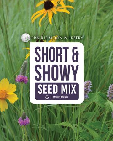 Midwest Wildflower Seed Mix