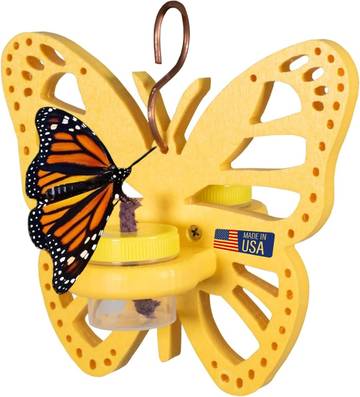 JCS Wildlife Double Nectar DOTS Hanging Butterfly Nectar Feeder