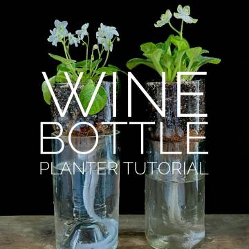 Self-Watering Wine Bottle Stake Set