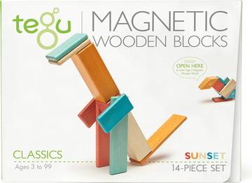 Tegu 42-Piece Magnetic Wooden Block Set