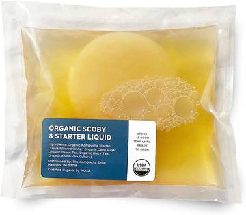 Organic SCOBY Starter Culture - Kombucha Brewing Starter Kit by Kombucha Kamp