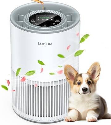 Air_BUFFER MAX True HEPA Air Purifier for Bedroom
