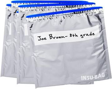 Planetwise LunchBox5 Reusable Sandwich Bag (4-Pack)
