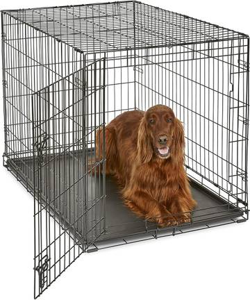 42-Inch Single Door Dog Crate for Large Breeds
