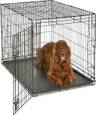 42-Inch Single Door Dog Crate for Large Breeds