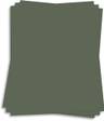 Seed Paper by Green Field Paper Company, Assorted Colors, 6 Pack