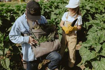 Garden Trowel