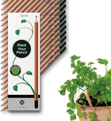 Sprout Sowing Sustainable Seeds Kit