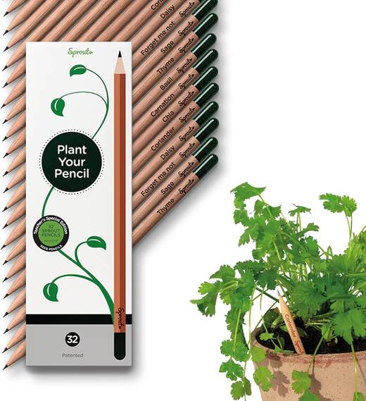 SproutWorld