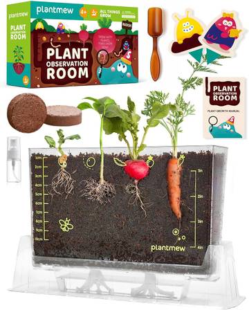 Little Eco Explorers Seedling Garden Kit