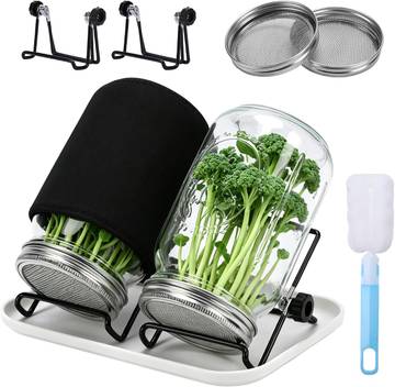 The Eco-Friendly Sprout Grow Kit