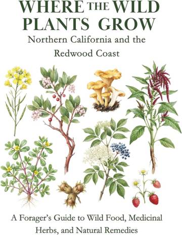 Where the Wild Plants Grow: Northern California and the Redwood Coast