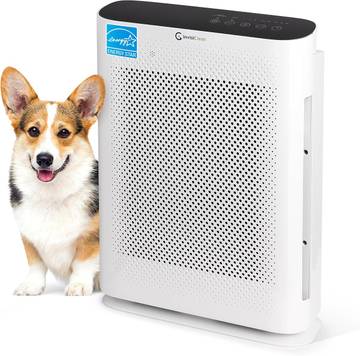Sneema Eco AirClean 600P Air Purifier