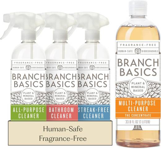 Branch Basics