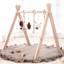 Finn + Emma Play Gym