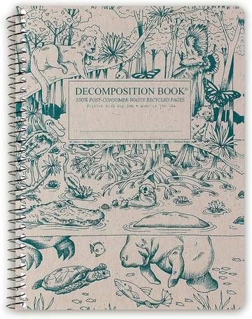 Decomposition Notebook (Lined)