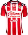 Men's GRVL Jersey