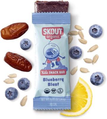 Skout Organic Kids Blueberry Blast Bar