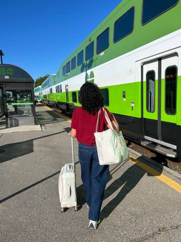 EcoNée Carry-On Eco-Friendly Suitcase