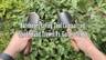 Garden Hand Trowel