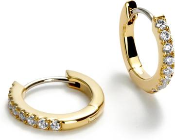 The Perfect Hoop Earrings