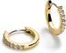The Perfect Hoop Earrings
