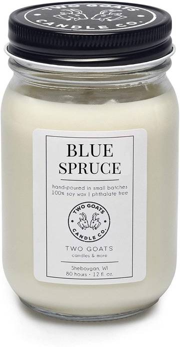 P.F. Candle Co. Spruce 7.2 oz Standard Soy Candle