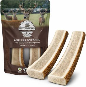 Naturally Shed XL Split Elk Antler