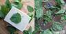 Nettles & Neem Solid Shampoo Bar