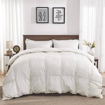 The Re-Down Comforter