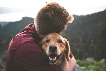 Wild Earth Clean Protein Grain-Free Dry Dog Food