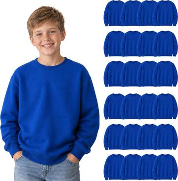 24pk Kids Crewneck Sweatshirts Unisex Wholesale