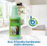 Bio Clean Hard Water Stain Remover (40oz, Pack of 2)