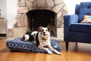 Wool-Filled Crate Pad