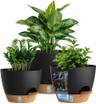 Self-Watering Eco-Friendly Recycled Planter