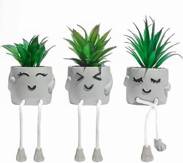 EcoCoco Office Desk Plants Gift Set