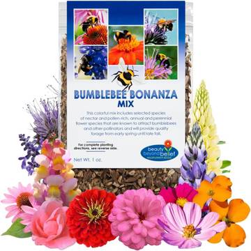 Bumblebee & Solitary Bee Wildflower Mix