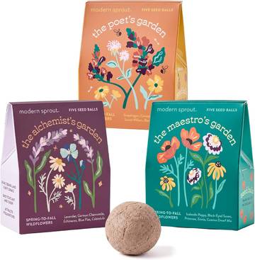 Eco-Friendly Wildflower Seed Bombs