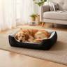 P.L.A.Y. Sustainable Pet Lifestyle and You Snuggle Bed