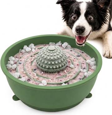 Calming Slow Feeder Senior Dog Bowl