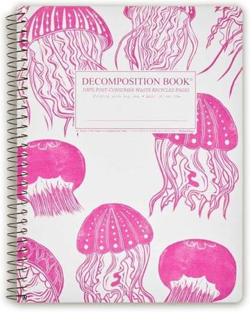 Decomposition Notebook - College Ruled